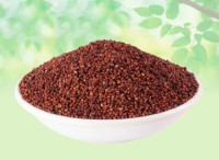 Industrial finger millet bulk supply premium grade millet fast delivery