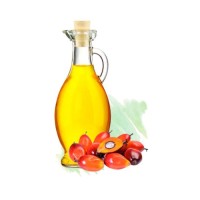 Palm oil wholesale bulk supply discount price fresh and high quality cooking oil