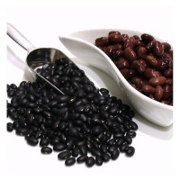 Wholesale Black Kidney Beans