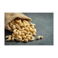 Fresh white cashew kernels wholesale bulk supply premium nuts distribution