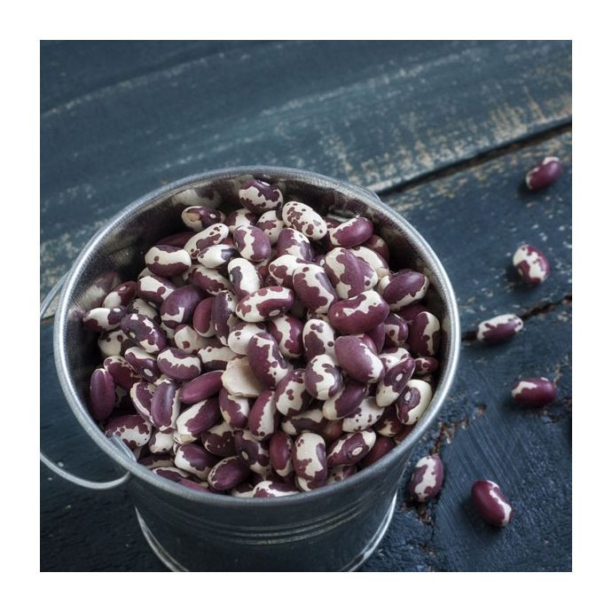 Sugar beans in bulk for hotels restaurants and catering supply