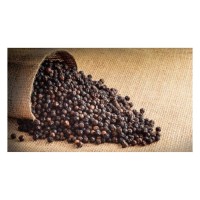 Black Spices Black pepper wholesale bulk / High Quality Natural Black Pepper Indonesia Origin Export Quality