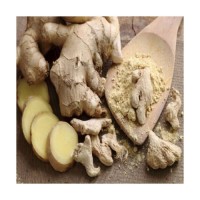 Bulk supply of fresh ginger available for health food companies and retailers
