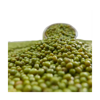 Green Mung Beans Wholesale High Quality Green Vigna Mung Beans