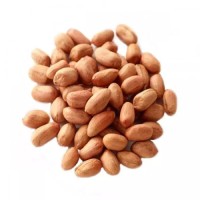 Peanuts Peanut High Quality Raw Peanuts Without Shell Raw Peanuts Blanched Peanut Kernels