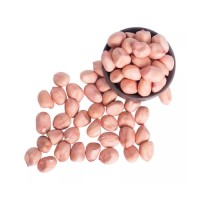 Premium Peanuts bulk supply wholesale top grade cheap price