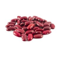 Red Kidney Bean bulk supply wholesale low price export ready