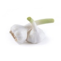 Wholesale Garlic Price - new crop hot sales