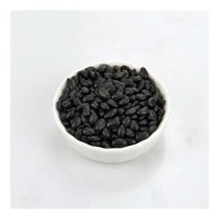 Spotted Black Kidney Beans | Kidney Beans Kidney Beans