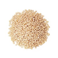 Bulk sorghum grains wholesale at factory direct low pricing