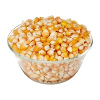 Bulk yellow corn offered for food processing and animal feed industries