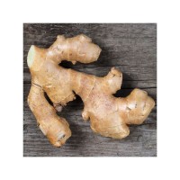 Factory price fresh ginger wholesale premium grade ginger bulk shipment ready