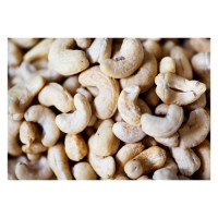 Cost effective cashew nuts kernel bulk sale high quality nuts fast delivery