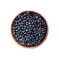 Premium Black Kidney Beans ideal for food processing and cooking industries