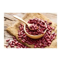Discount price Red Kidney Bean wholesale bulk supply premium quality