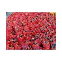 Low price red onions bulk order high quality farm onions reliable supply