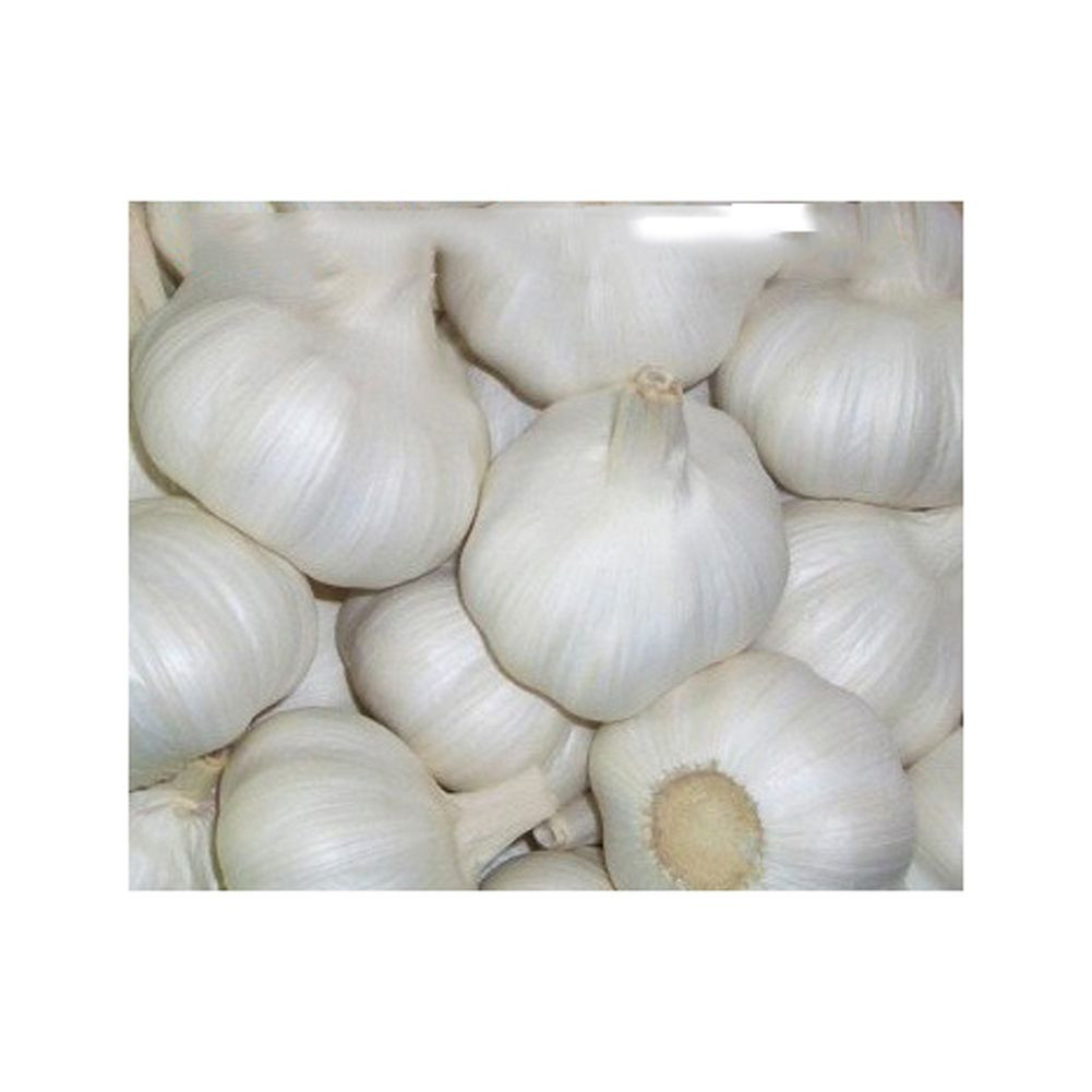 Manufacturer Directly Supply Best Quality Fresh White Garlic