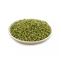 Discount price Vigna Mung Beans wholesale bulk supply premium quality