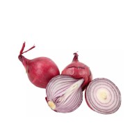 dry red onion new crop cheap price high quality ready to direct export
