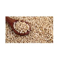 High quality sorghum grains wholesale in bulk packaging for sale