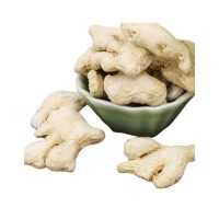 Top quality fresh ginger for sale suitable for juice makers and food manufacturers