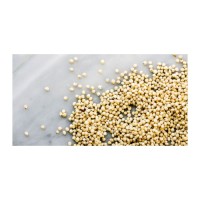 Bulk sorghum grains wholesale available for worldwide buyers
