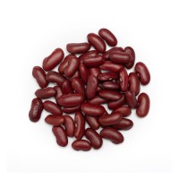 Factory price red kidney bean wholesale premium grade pulses bulk shipment ready