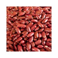 Natural red kidney bean wholesale bulk order clean pulses reliable shipment