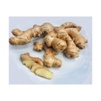 Premium fresh ginger available for sale for catering and restaurant supply