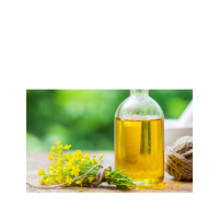 Discount price canola oil available for large scale resale and trade demand