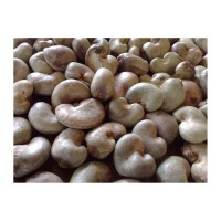 Natural cashew nuts kernel wholesale bulk sale high quality edible nuts