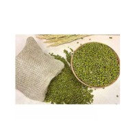 Vigna Mung Beans bulk supply cheap price wholesale export quality
