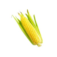 Bulk yellow corn supplied in stock with secure packaging and long shelf life