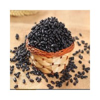 Natural Black Kidney Beans available for health food and organic stores