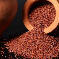 Natural grains finger millet bulk sale high quality ragi supply