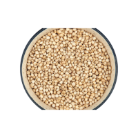 Wholesale sorghum grains bulk available for food companies and traders