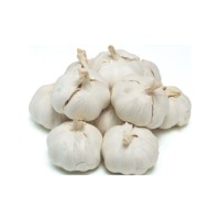 Bulk supply of Fresh Garlic harvested and shipped under strict quality control