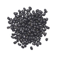 Export Black And Black Kidney Beans Light Speckled High Quality Black Kidney Beans Cheap Price