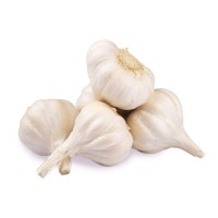 Manufacturer Directly Supply Best Quality Fresh White Garlic