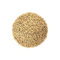 Wholesale sorghum grains bulk available for flour and beverage industries