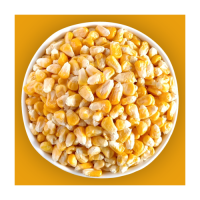 Bulk yellow corn ready for export with rich nutrient content and natural taste