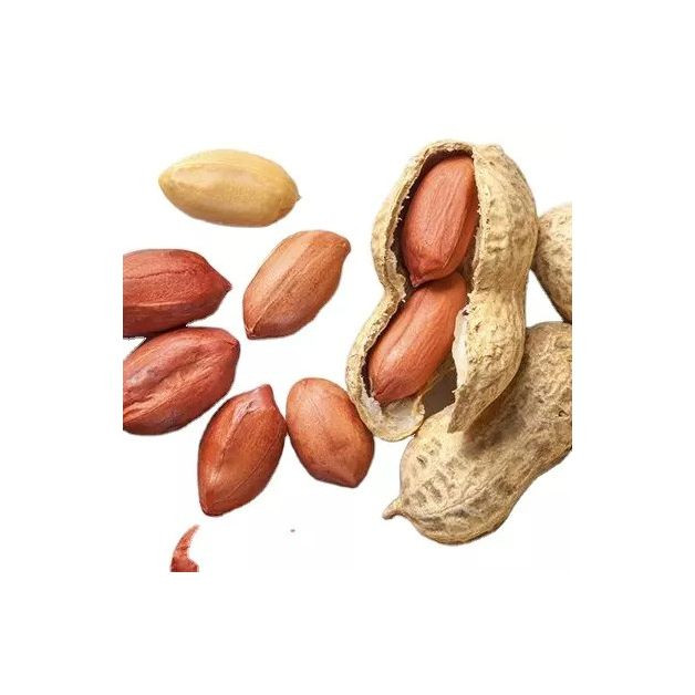 Peanuts Peanut High Quality Raw Peanuts Without Shell Raw Peanuts Blanched Peanut Kernels
