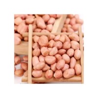 Premium Peanuts bulk supply wholesale affordable price fresh bulk
