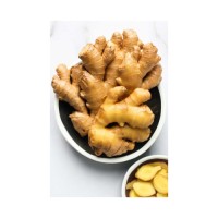 High quality new crop fresh ginger wholesale prices