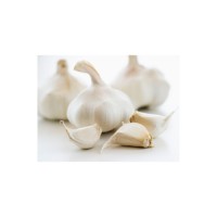 Premium Quality Wholesale Fresh Peeled Garlic For Sale In Cheap Price
