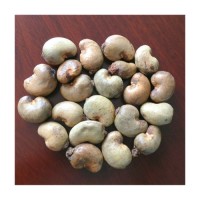 Superior cashew kernels bulk order premium nuts factory direct supply
