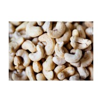 Affordable cashew nuts kernel bulk supply premium nuts wholesale distribution
