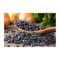 Black Kidney Beans available for sale in wholesale