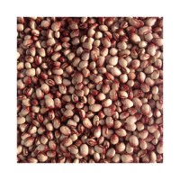 Sugar beans in bulk for hotels restaurants and catering supply