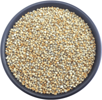 Bulk export pearl millet wholesale natural grains large volume supply